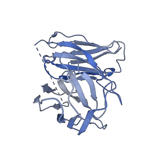 35235_8i7w_E_v1-0
Cryo-EM structure of GSK256073 bound human hydroxy-carboxylic acid receptor 2 in complex with Gi heterotrimer