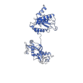 35240_8i87_A_v1-1
Cryo-EM structure of TIR-APAZ/Ago-gRNA-DNA complex