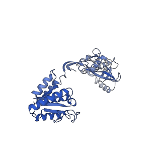 35240_8i87_C_v1-1
Cryo-EM structure of TIR-APAZ/Ago-gRNA-DNA complex