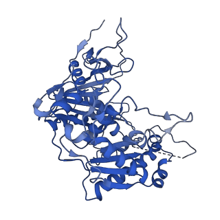 35240_8i87_D_v1-1
Cryo-EM structure of TIR-APAZ/Ago-gRNA-DNA complex