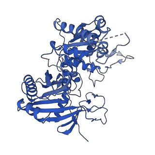 35240_8i87_F_v1-1
Cryo-EM structure of TIR-APAZ/Ago-gRNA-DNA complex