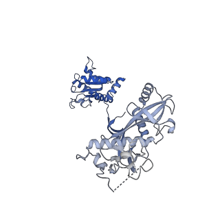 35240_8i87_G_v1-1
Cryo-EM structure of TIR-APAZ/Ago-gRNA-DNA complex