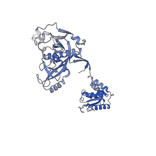 35240_8i87_O_v1-1
Cryo-EM structure of TIR-APAZ/Ago-gRNA-DNA complex