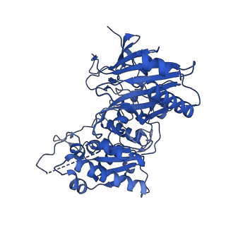 35240_8i87_T_v1-1
Cryo-EM structure of TIR-APAZ/Ago-gRNA-DNA complex