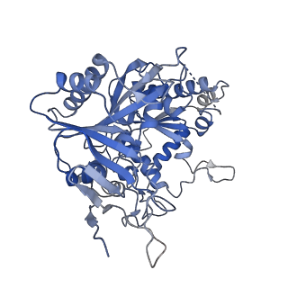 35241_8i88_B_v1-1
Cryo-EM structure of TIR-APAZ/Ago-gRNA complex
