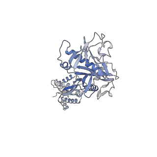 35241_8i88_C_v1-1
Cryo-EM structure of TIR-APAZ/Ago-gRNA complex