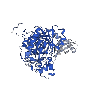 35248_8i8d_A_v1-0
Acyl-ACP Synthetase structure bound to MC7-ACP