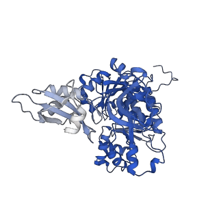 35248_8i8d_B_v1-0
Acyl-ACP Synthetase structure bound to MC7-ACP