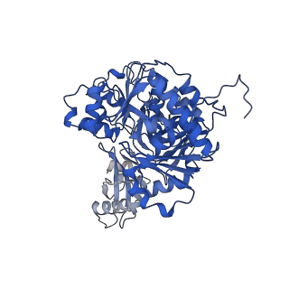 35248_8i8d_C_v1-0
Acyl-ACP Synthetase structure bound to MC7-ACP