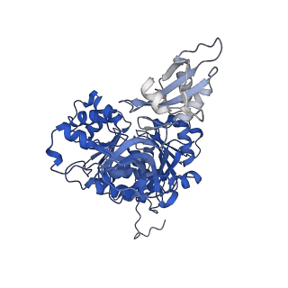 35248_8i8d_D_v1-0
Acyl-ACP Synthetase structure bound to MC7-ACP