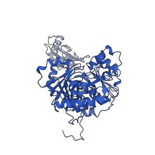 35248_8i8d_E_v1-0
Acyl-ACP Synthetase structure bound to MC7-ACP