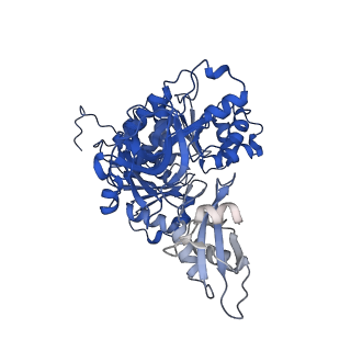 35248_8i8d_F_v1-0
Acyl-ACP Synthetase structure bound to MC7-ACP