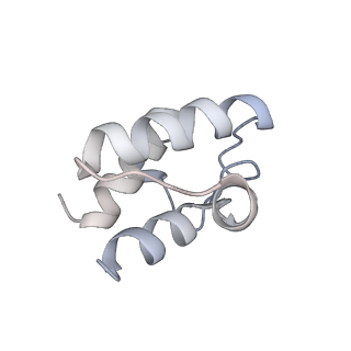 35248_8i8d_b_v1-0
Acyl-ACP Synthetase structure bound to MC7-ACP