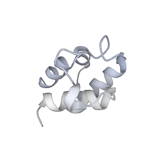 35248_8i8d_c_v1-0
Acyl-ACP Synthetase structure bound to MC7-ACP