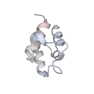 35248_8i8d_e_v1-0
Acyl-ACP Synthetase structure bound to MC7-ACP