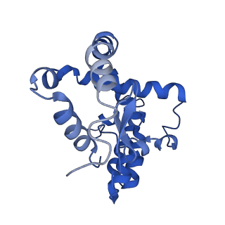 35250_8i8r_D_v1-1
Cryo-EM Structure of OmpC3-MlaA Complex in MSP2N2 Nanodiscs