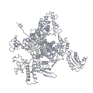 4429_6i84_A_v1-2
Structure of transcribing RNA polymerase II-nucleosome complex