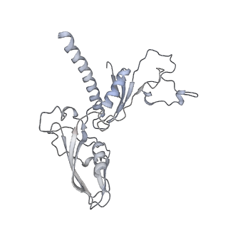 4429_6i84_C_v1-2
Structure of transcribing RNA polymerase II-nucleosome complex