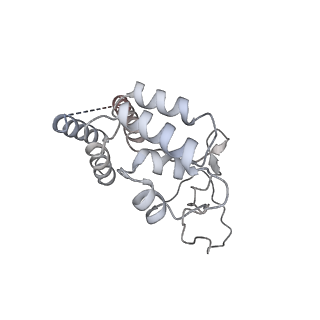 4429_6i84_D_v1-2
Structure of transcribing RNA polymerase II-nucleosome complex