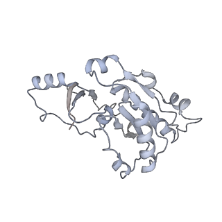 4429_6i84_E_v1-2
Structure of transcribing RNA polymerase II-nucleosome complex