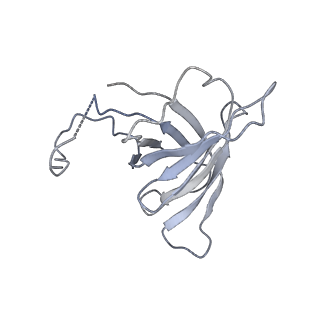 4429_6i84_H_v1-2
Structure of transcribing RNA polymerase II-nucleosome complex