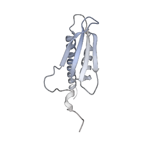 4429_6i84_K_v1-2
Structure of transcribing RNA polymerase II-nucleosome complex
