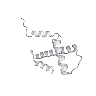 4429_6i84_M_v1-2
Structure of transcribing RNA polymerase II-nucleosome complex