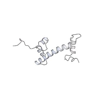 4429_6i84_Q_v1-2
Structure of transcribing RNA polymerase II-nucleosome complex