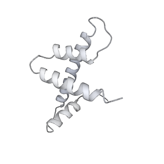 4429_6i84_R_v1-2
Structure of transcribing RNA polymerase II-nucleosome complex