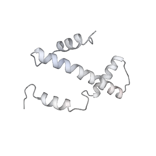 4429_6i84_S_v1-2
Structure of transcribing RNA polymerase II-nucleosome complex