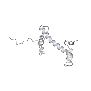 4429_6i84_V_v1-2
Structure of transcribing RNA polymerase II-nucleosome complex