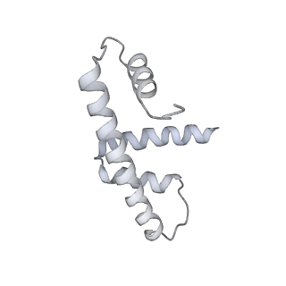 4429_6i84_W_v1-2
Structure of transcribing RNA polymerase II-nucleosome complex