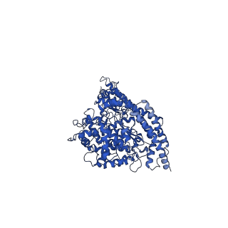 35255_8i92_C_v1-0
ACE2-B0AT1 complex bound with glutamine
