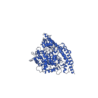 35256_8i93_C_v1-0
ACE2-B0AT1 complex bound with methionine