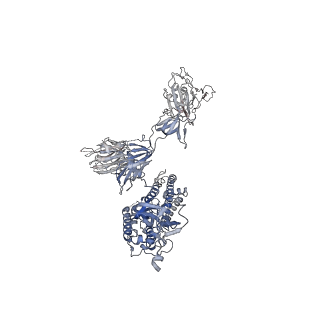 35266_8i9c_A_v1-0
S-ECD (Omicron BF.7) in complex with PD of ACE2