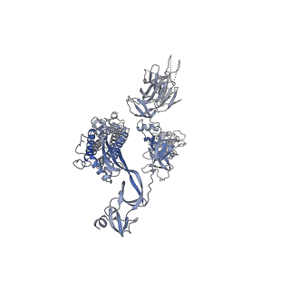 35266_8i9c_B_v1-0
S-ECD (Omicron BF.7) in complex with PD of ACE2