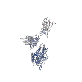 35267_8i9d_A_v1-0
S-ECD (Omicron XBB.1) in complex with PD of ACE2