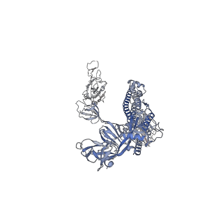 35267_8i9d_C_v1-0
S-ECD (Omicron XBB.1) in complex with PD of ACE2