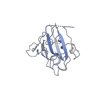 35268_8i9e_E_v1-0
S-RBD(Omicron BA.3) in complex with PD of ACE2