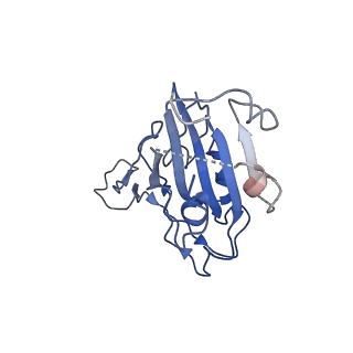 35270_8i9g_A_v1-0
S-RBD (Omicron BF.7) in complex with PD of ACE2