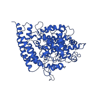 35270_8i9g_D_v1-0
S-RBD (Omicron BF.7) in complex with PD of ACE2