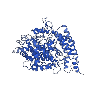 35272_8i9h_A_v1-0
S-RBD (Omicron XBB.1) in complex with PD of ACE2