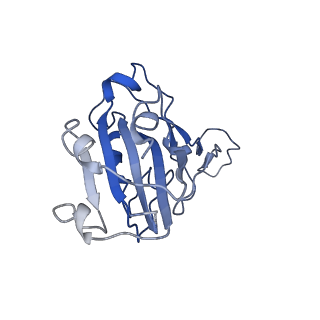 35272_8i9h_E_v1-0
S-RBD (Omicron XBB.1) in complex with PD of ACE2