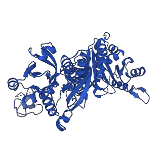 35278_8i9o_A_v1-0
ecCTPS filament bound with CTP, NADH, DON