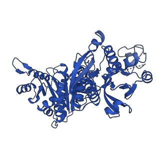 35278_8i9o_B_v1-0
ecCTPS filament bound with CTP, NADH, DON