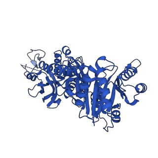 35278_8i9o_C_v1-0
ecCTPS filament bound with CTP, NADH, DON