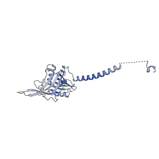35279_8i9p_CA_v1-1
Cryo-EM structure of a Chaetomium thermophilum pre-60S ribosomal subunit - State Mak16