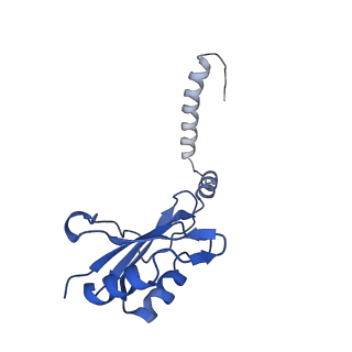 35279_8i9p_CI_v1-1
Cryo-EM structure of a Chaetomium thermophilum pre-60S ribosomal subunit - State Mak16