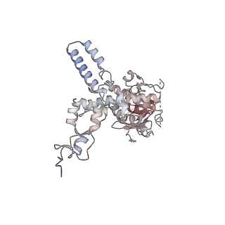 35279_8i9p_CJ_v1-1
Cryo-EM structure of a Chaetomium thermophilum pre-60S ribosomal subunit - State Mak16