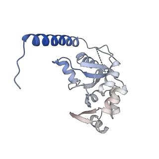 35279_8i9p_CM_v1-1
Cryo-EM structure of a Chaetomium thermophilum pre-60S ribosomal subunit - State Mak16